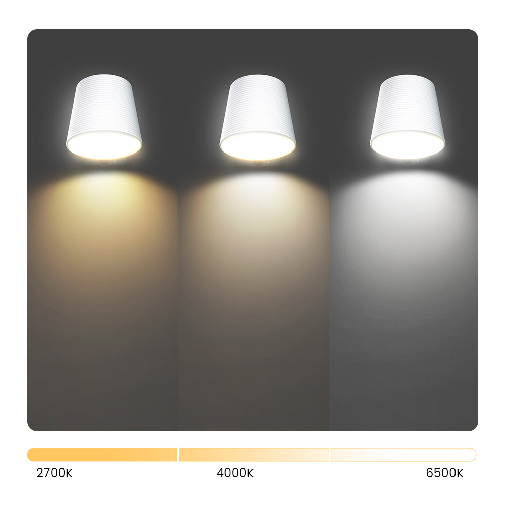 ExitGuard Dual (2 Lights + Beam Sensor Set)